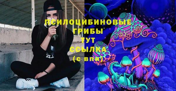 тгк Богданович