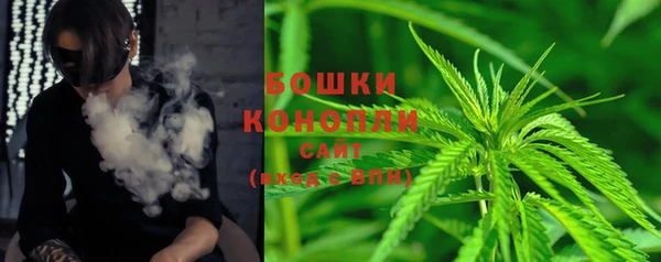 МДПВ Богородицк