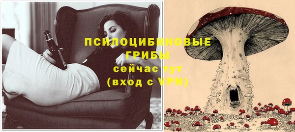 тгк Богданович