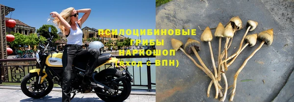 тгк Богданович