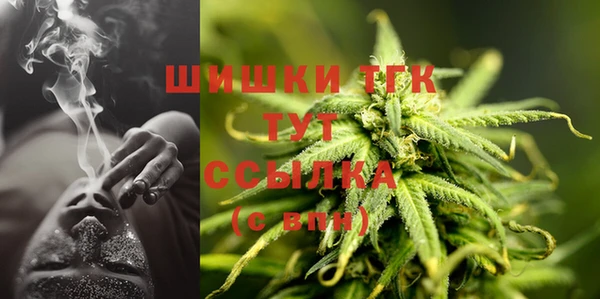 тгк Богданович